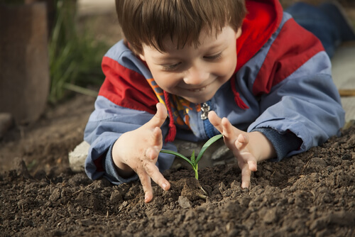 La educación ambiental para niños debe empezar desde el hogar.