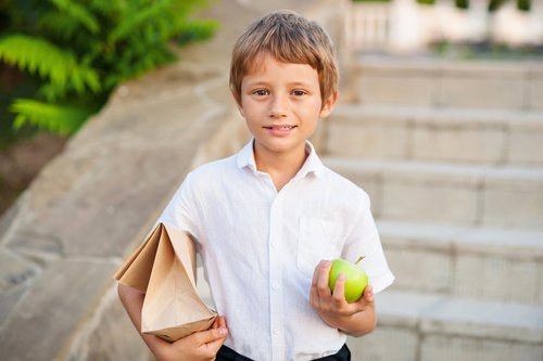 Sin duda, las meriendas fuera de casa para niños que deben ser energéticas, tienen que tener frutos secos.