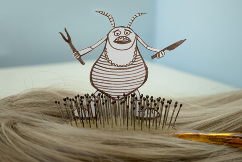 Los piojos en el colegio son muy comunes.