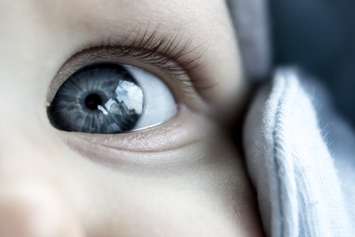 Cuando los bebés tienen los ojos grises al nacer, los padres quedan maravillados.
