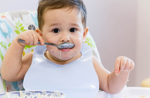 Recetas de cuchara para bebés de 9 a 12 meses