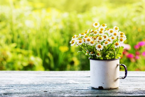 La primavera altera las hormonas: es una época ideal para disfrutar y enamorarse.