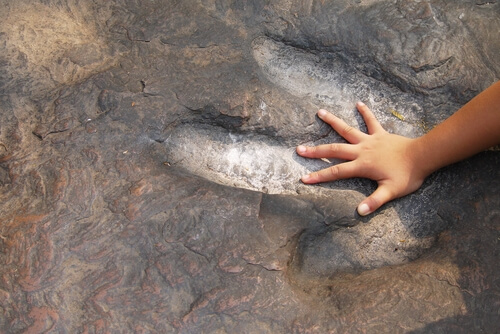 Los dinosaurios despiertan fascinación en los más pequeños.