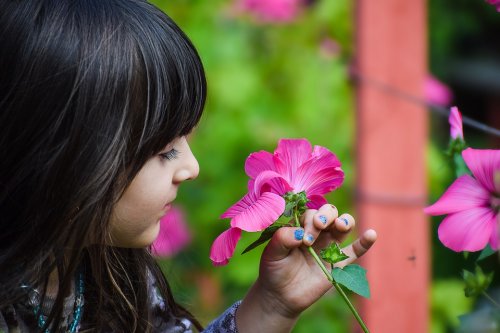 Las clases de botánica para niños.