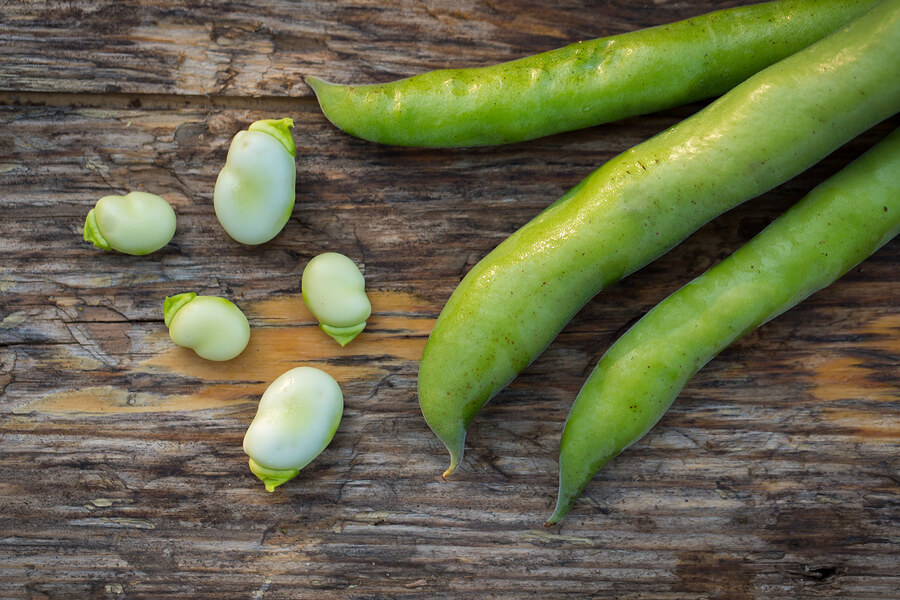 ¿Qué es el fabismo?
