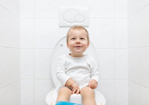 El primer paso para que el niño deje el pañal consiste en poner en el baño el adaptador para el inodoro o comprar el orinal o bacinilla.