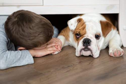 ¿Qué hacer si a mi hijo le muerde un perro?