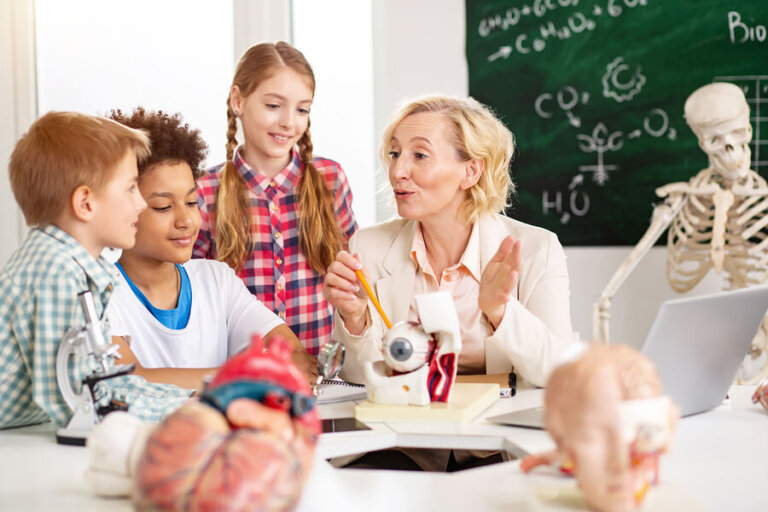 Anatomía para niños: cómo funciona su organismo