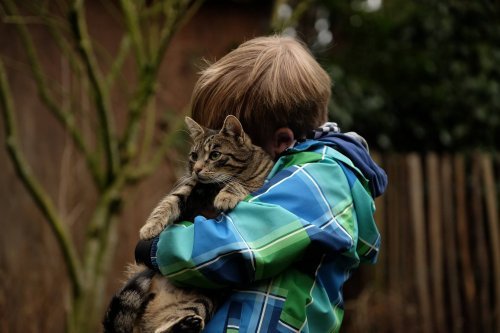 La amistad entre mascotas y niños puede ser beneficiosa para ambos.