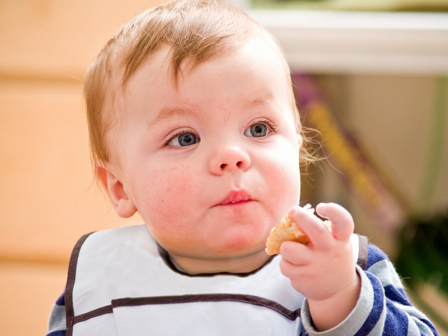 ¿Cuándo introducir los cereales en la dieta del bebé?