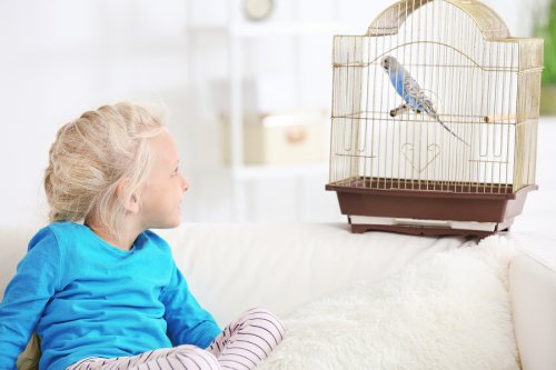 Las ventajas de que los niños tengan contacto con animales abarcan incluso varios aspectos de su salud.