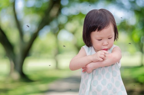 Si a mi hijo le pican siempre los mosquitos, puedo tomar ciertas medidas preventivas, incluso algunas naturales.