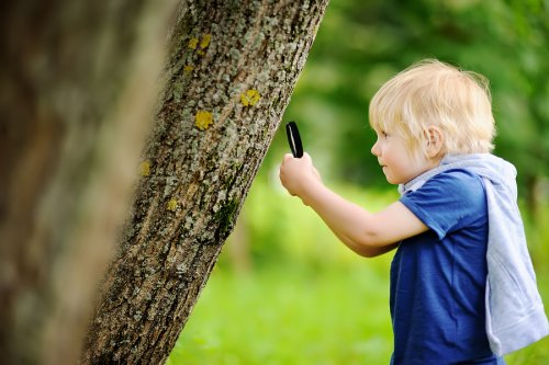 Las salidas al campo con niños les brindan oportunidades para explorar y divertirse.