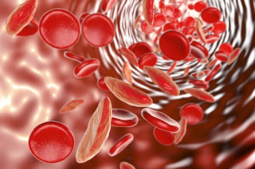 La anemia en la adolescencia está muy ligada a una carencia de glóbulos rojos.
