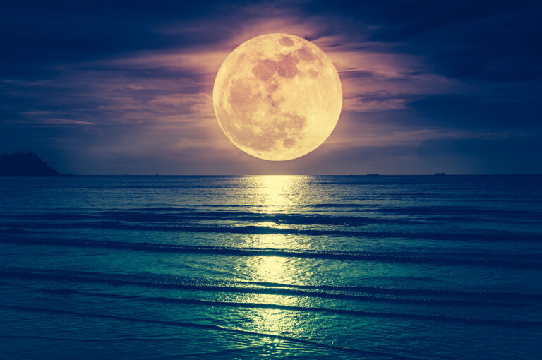 ¿Influye la luna en el parto?
