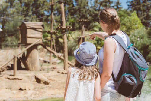 La visita al zoológico ayuda a promover en el niño el amor por la naturaleza y el cuidado del medio ambiente.