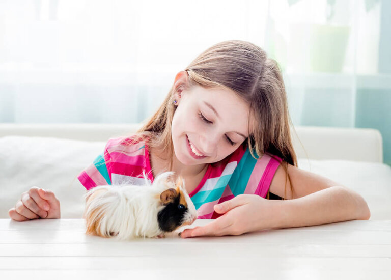 7 mascotas para niños si vives en la ciudad