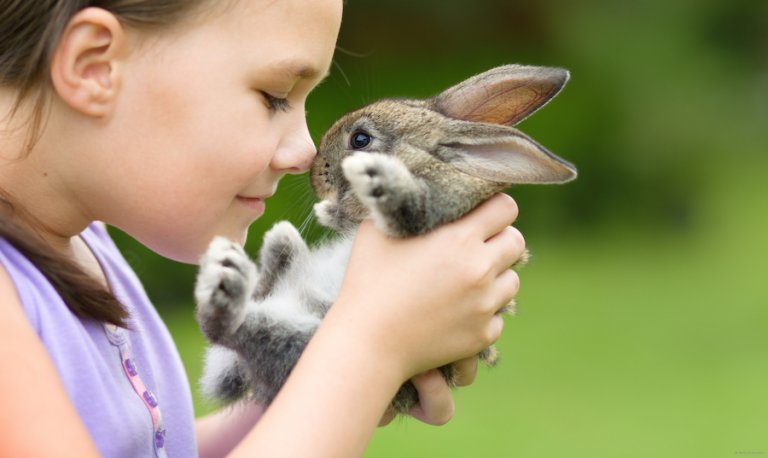 Conejo-mascotas para niños