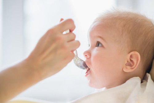 conservar-la-comida-del-bebe