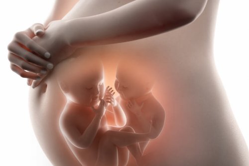¿Qué dieta requieren los embarazos múltiples?