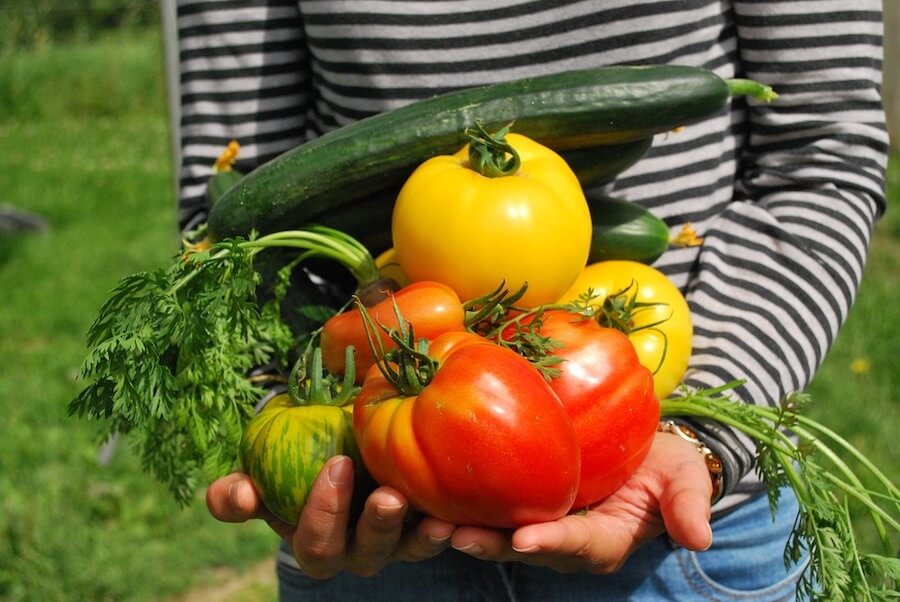 Niños que siguen dieta vegetariana