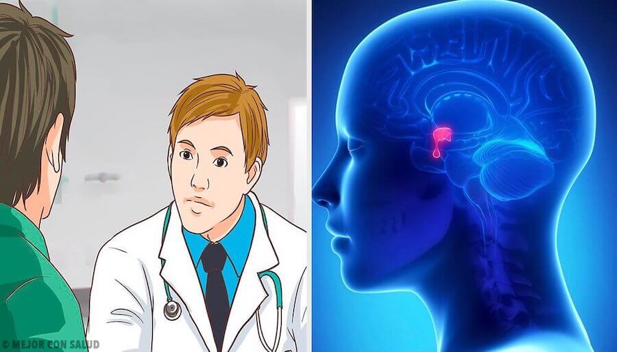 glandula-pituitaria-