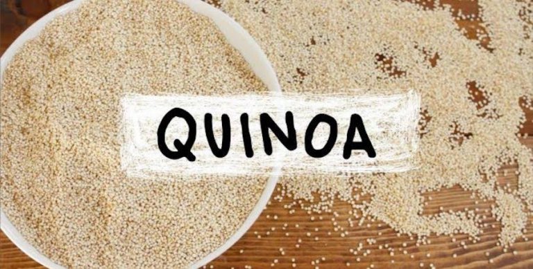 4 recetas con quinoa para niños