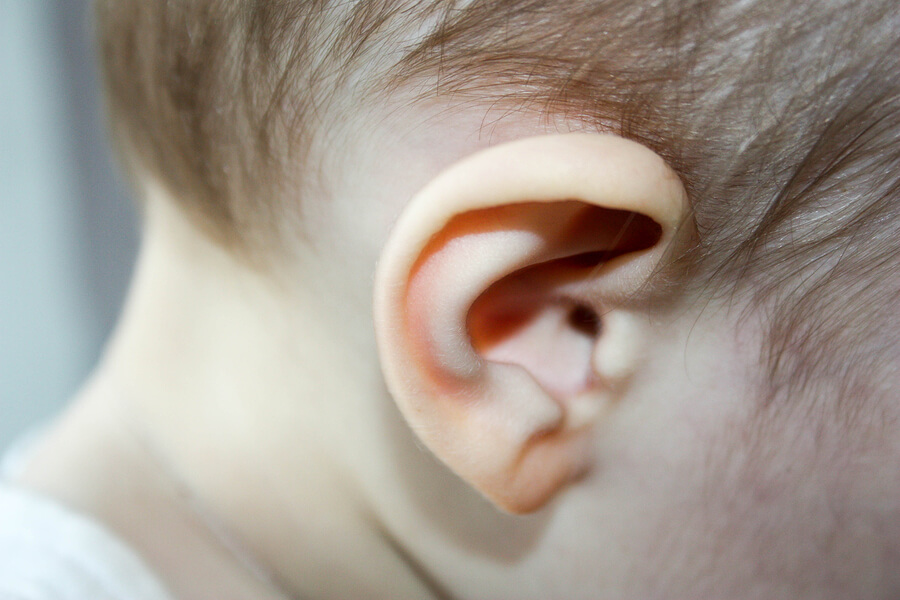 A baby's ear.