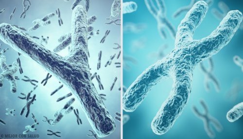 Génetica para niños: ¿qué son los genes y los cromosomas?