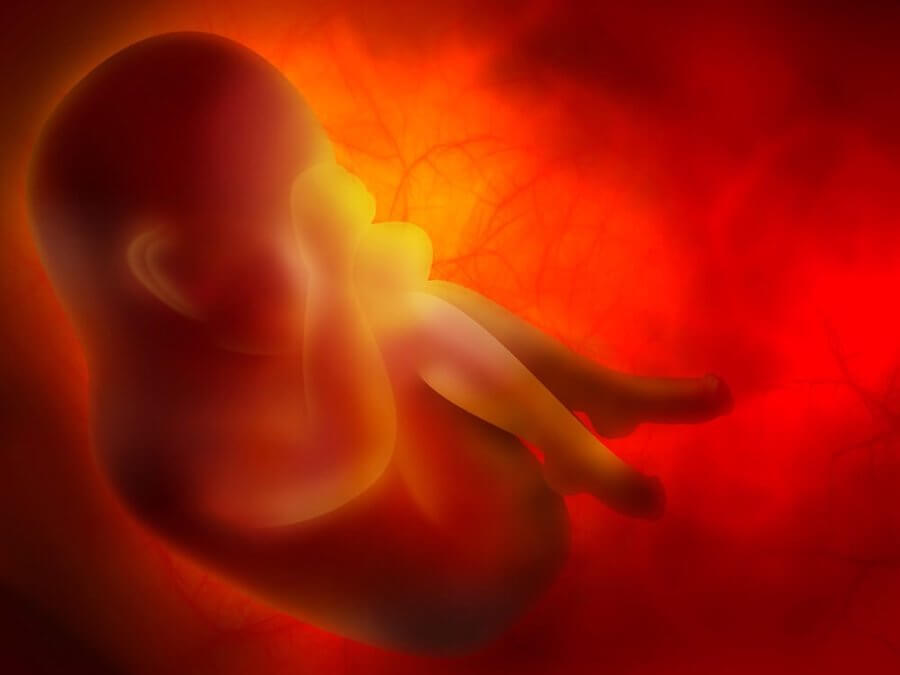 El feto en el útero: las vueltas al cordón umbilical