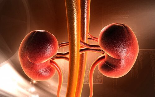 Cáncer de riñón en la infancia: síntomas y causas