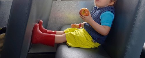 Síndrome metabólico en niños