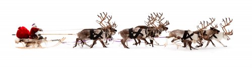 Papá Noel en el trineo con sus renos.