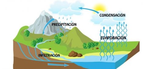 Existen numerosos libros infantiles sobre el agua que explican el ciclo del agua.