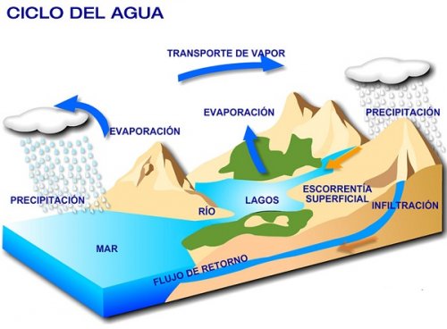 Cómo explicar el ciclo del agua a los niños.