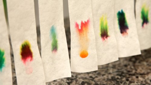 El ciclo de la fotosíntesis para niños.