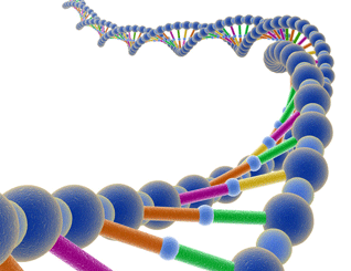 Cómo explicar el ADN a los niños.
