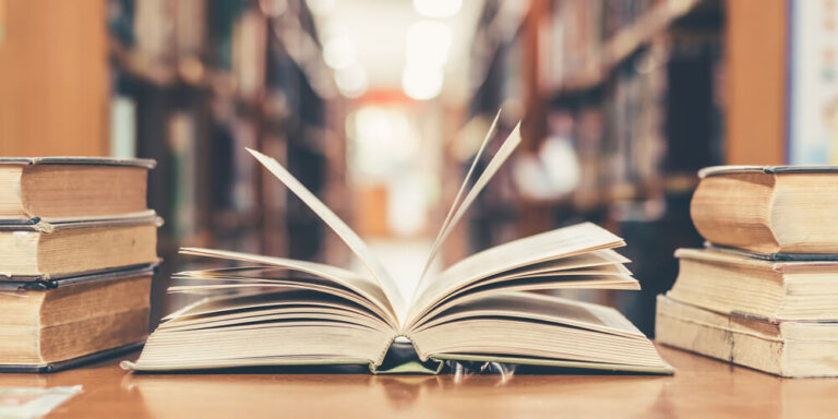 La sistematización en pedagogía