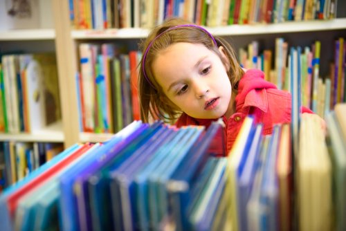 Importancia de la biblioteca escolar