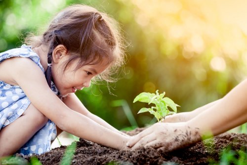 Niña plantando un árbol como recurso dentro del aprendizaje vivencial.