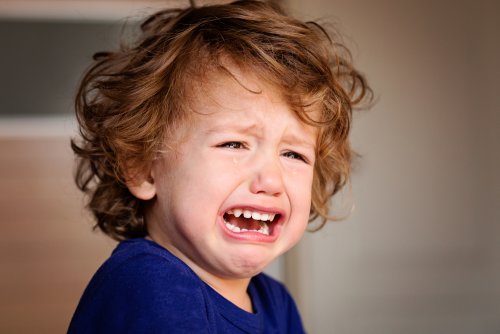 Niño llorando en el estudio de la situación extraña por un apego inseguro.