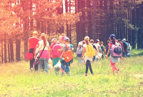 Responsabilidad en caso de accidente en una excursión escolar.