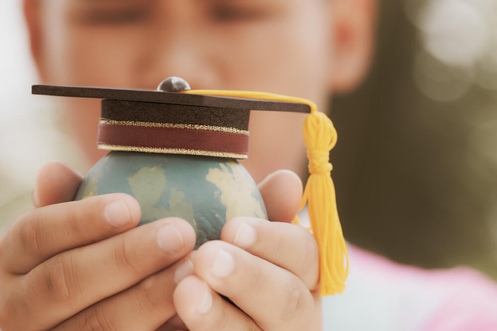 La teoría de la organización escolar y sus características.