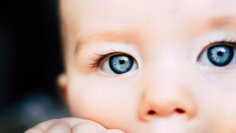 El desarrollo de la percepción en los niños