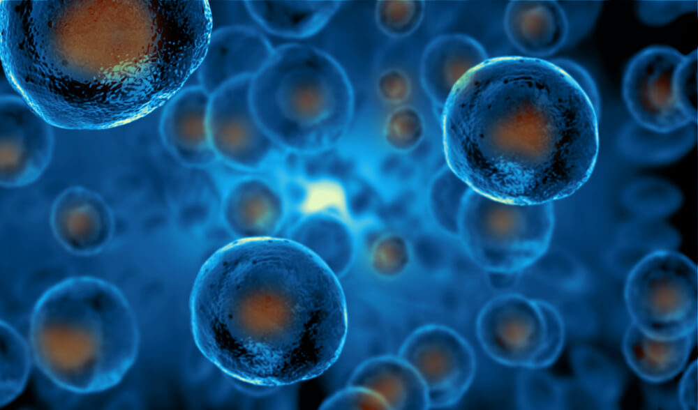 ¿Cómo explicar las células madre a niños?