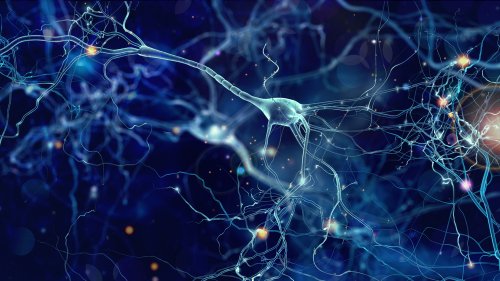Libros de biología para principiantes