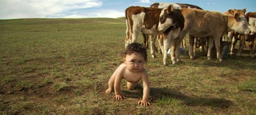 Babies: un documental sobre cuatro niños de culturas muy diferentes