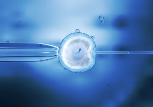 Fecundación in vitro.