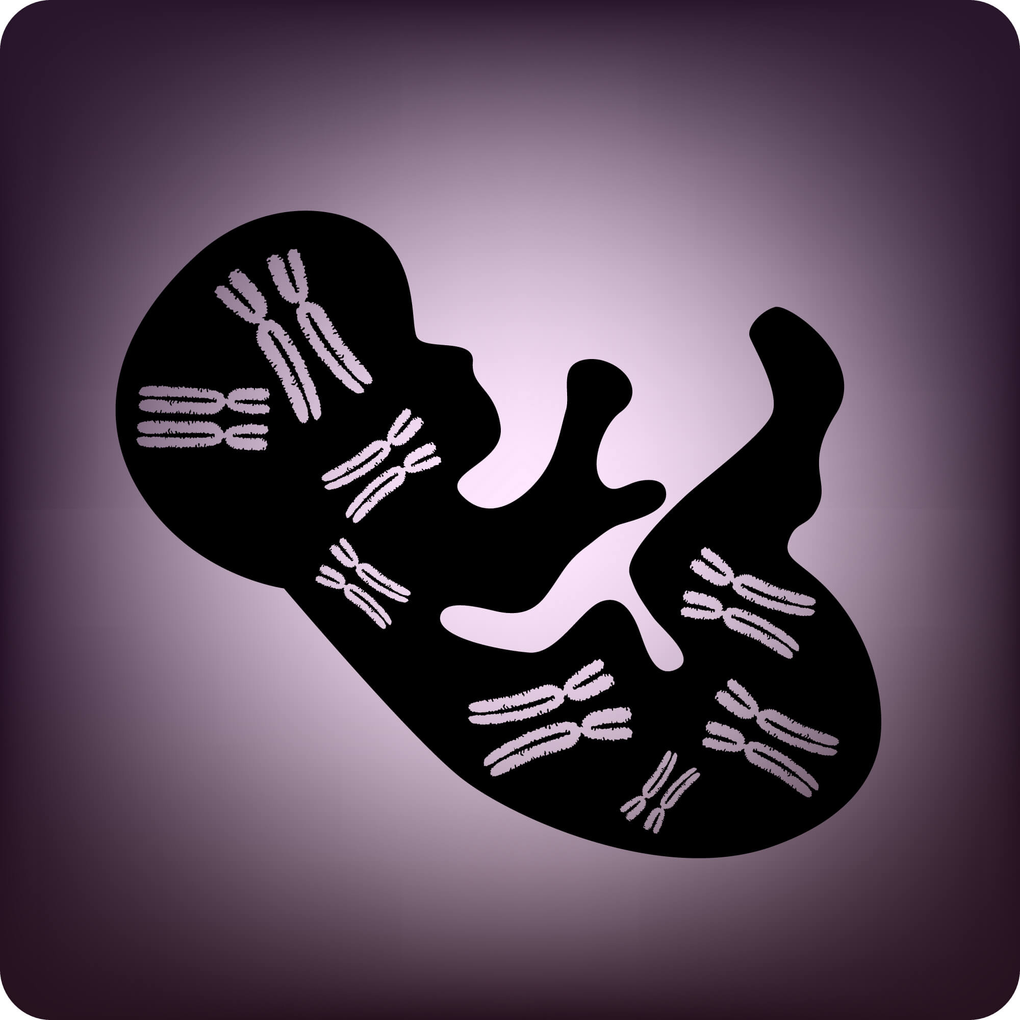 Test genético prenatal: características y ventajas