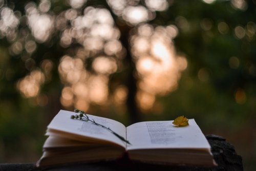 Beneficios de la poesía para los niños